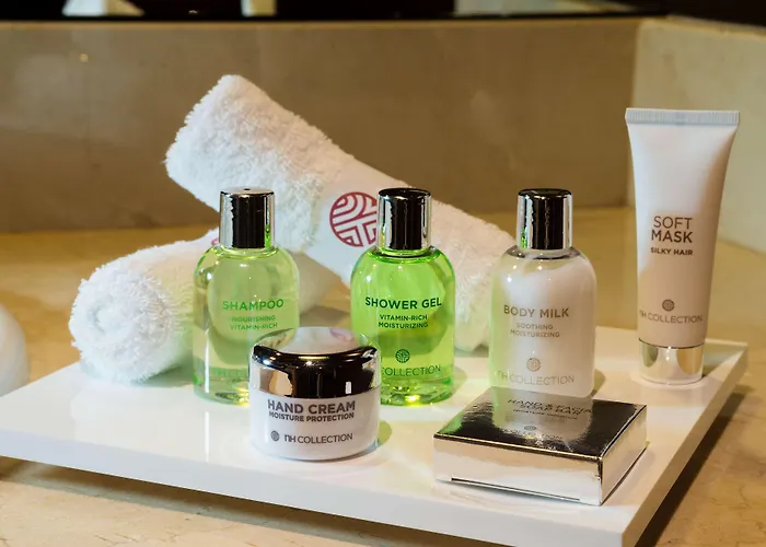 Nh Collection Palacio De 4* Burgo