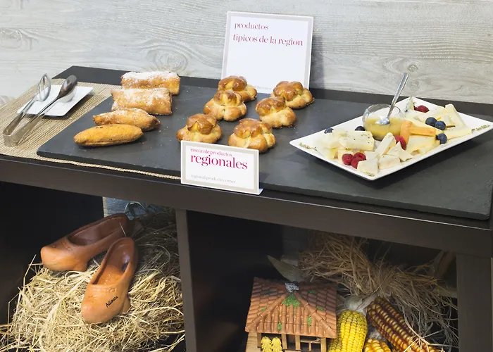 Nh Collection Palacio De 4* Burgo