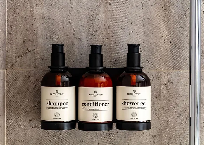 Hotel Nh Collection Palacio De